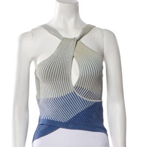 Jonathan Simkhai Maria Striped Space Dye Twisted Tank Top NET Sz L